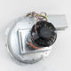 Packard 66816 Draft Inducer, Carrier Replacement, 460 Volt, 0.25 Amps, 3450 Rpm