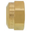 Caleffi 682540A 1/2" PEX-AL-PEX Fitting