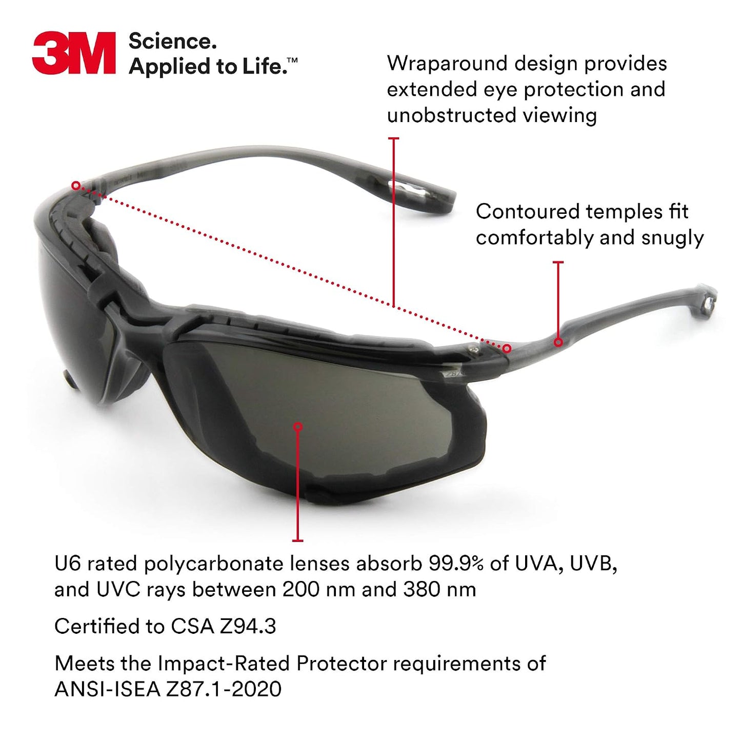 3M™ 11873-00000-20 Protective Eyewear W/ Foam Gasket Gray Af Lens (20 EA)