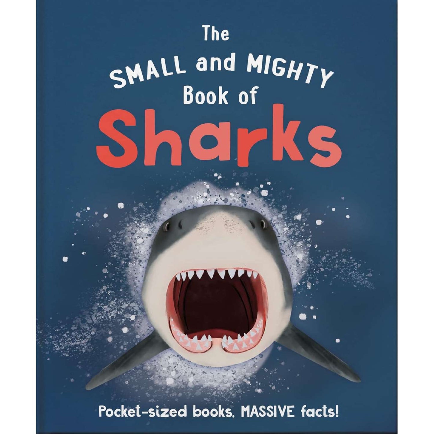 Paradise Clay IPS308 The Small And Mighty Book Of Sharks: Pocket-Sized Books, Massive Facts! - Book