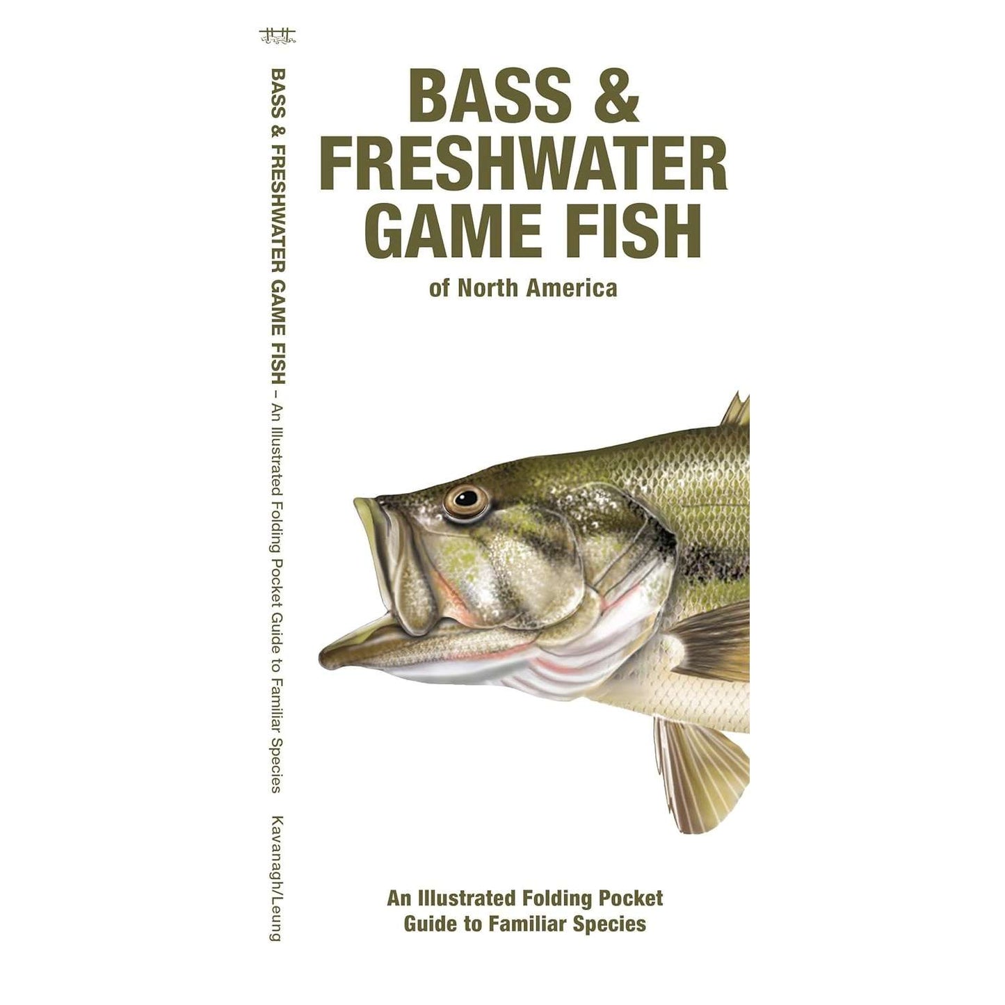 Paradise Clay WFP200 Bass & Freshwater Game Fish of North America: An Illustrated Folding Pocket Guide to Familiar Species - Book