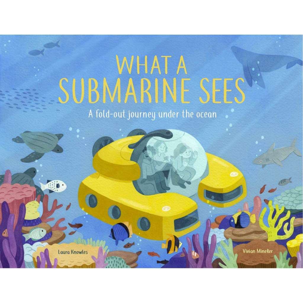 Paradise Clay IPS286 What A Submarine Sees: A Fold-Out Journey Under The Waves - Book