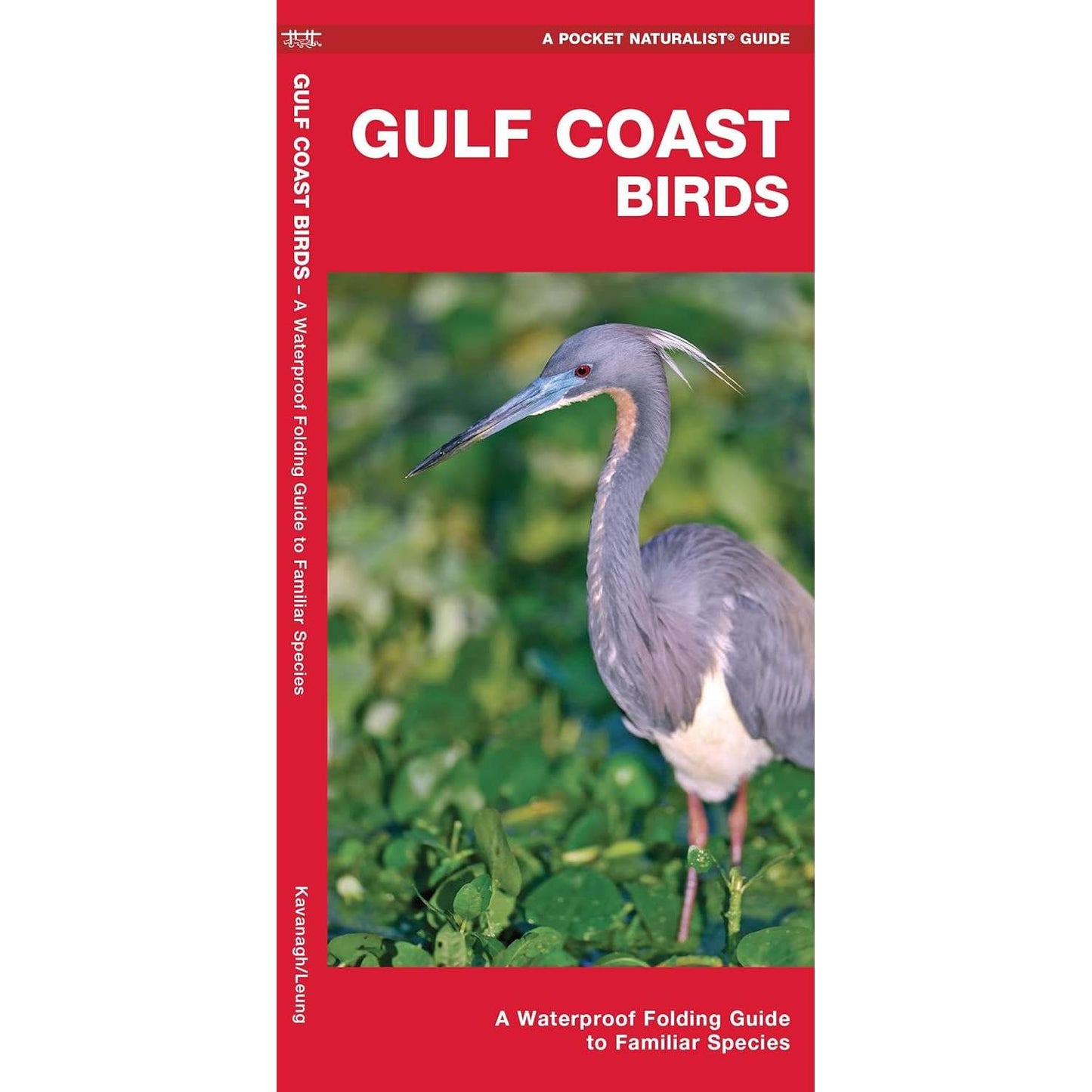 Paradise Clay WFP197 Gulf Coast Birds: A Waterproof Folding Guide to Familiar Species - Book