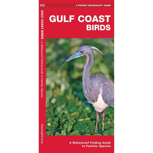 Paradise Clay WFP197 Gulf Coast Birds: A Waterproof Folding Guide to Familiar Species - Book