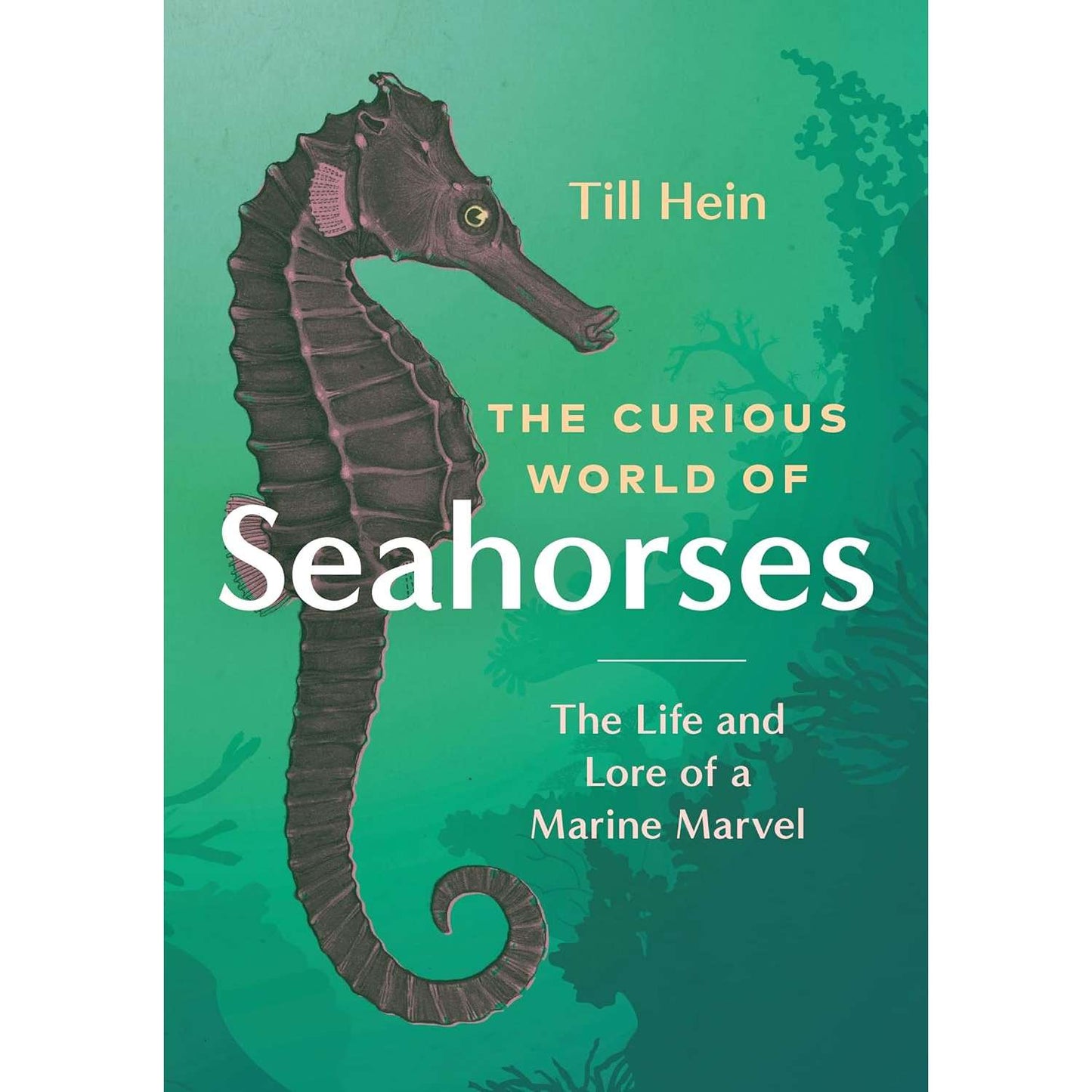 Paradise Clay IPS299 The Curious World Of Seahorses: The Life And Lore Of A Marine Marvel - Book