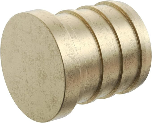 Jones Stephens C76067LF 1" F1807 Brass PEX Plug, Bag of 50