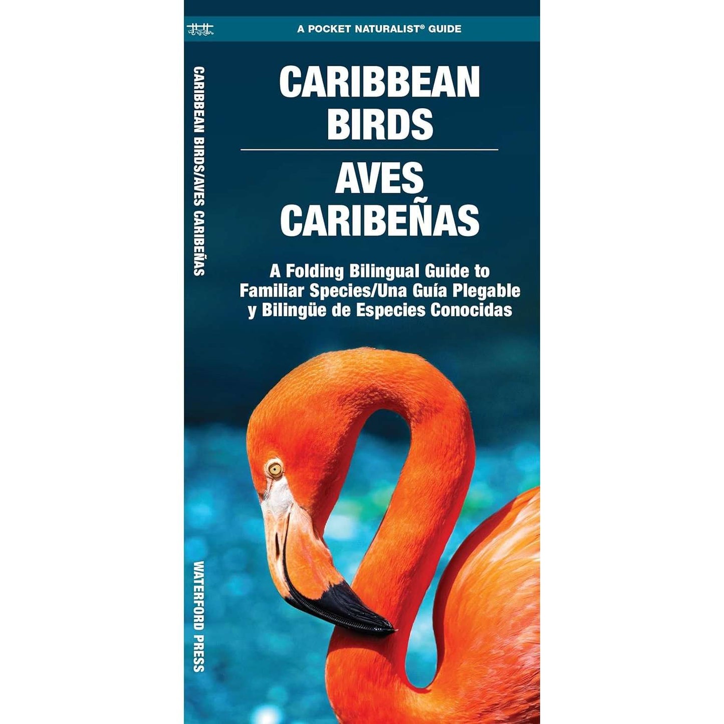 Paradise Clay WFP199 Caribbean Birds/Aves Caribenas: A Folding Pocket Guide to Familiar Species/Una Guia Plegable Portatil de Especies Conocidas - Book