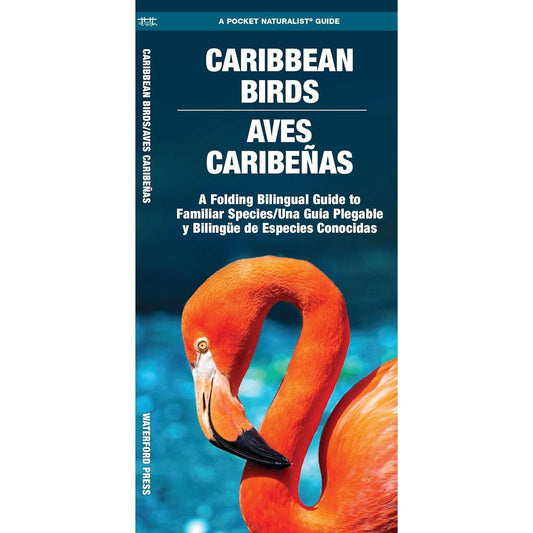 Paradise Clay WFP199 Caribbean Birds/Aves Caribenas: A Folding Pocket Guide to Familiar Species/Una Guia Plegable Portatil de Especies Conocidas - Book
