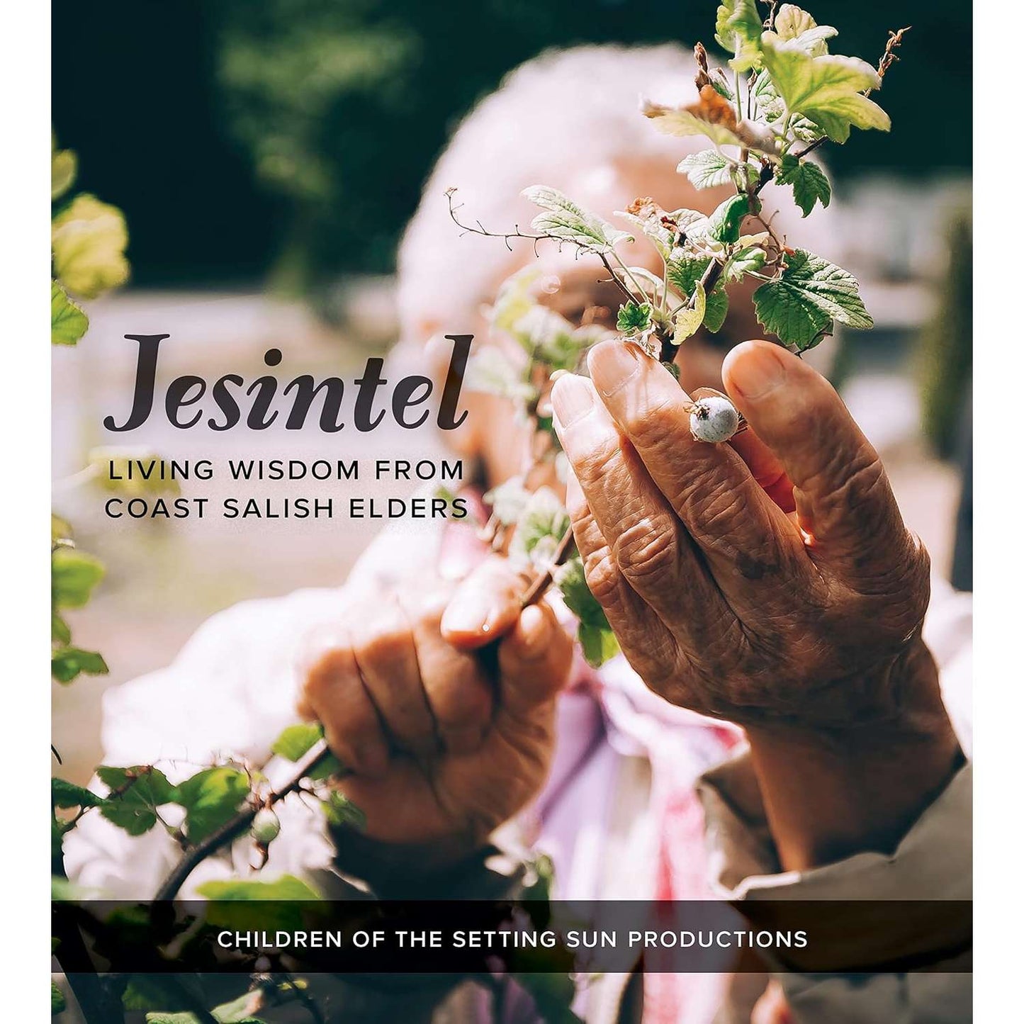 Paradise Clay UCP001 Jesintel: Living Wisdom From Coast Salish Elders - Book
