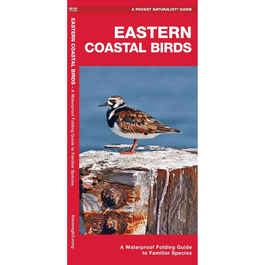 Paradise Clay WFP198 Eastern Coastal Birds: A Waterproof Folding Guide to Familiar Species - Book
