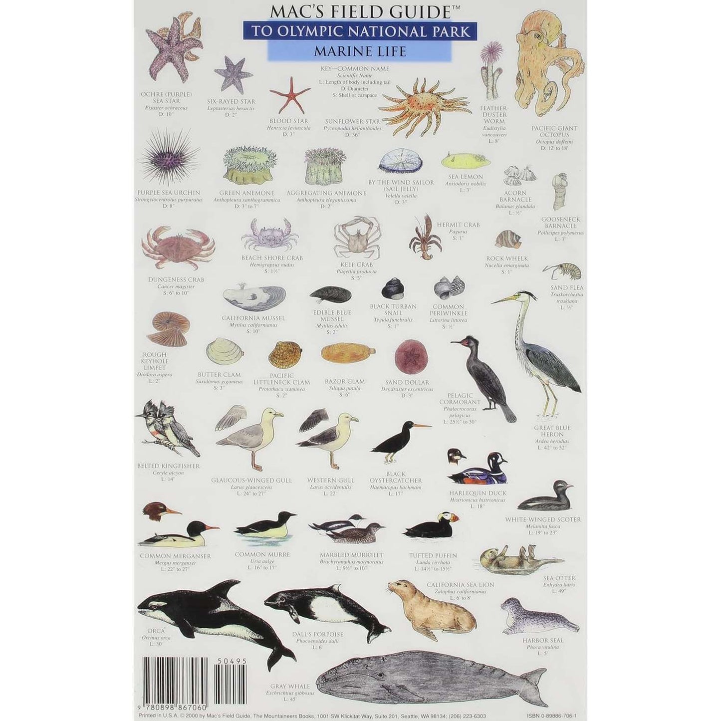 Paradise Clay MAC020 Mac'sField Guide To Olympic National Park: Land Animals / Marine Life - Book