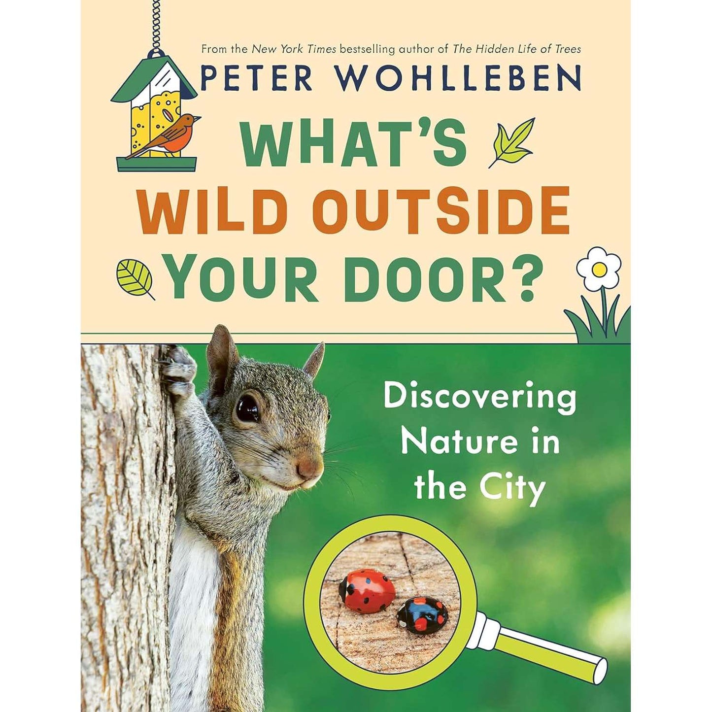 Paradise Clay IPS296 What'sWild Outside Your Door?: Discovering Nature In The City - Book