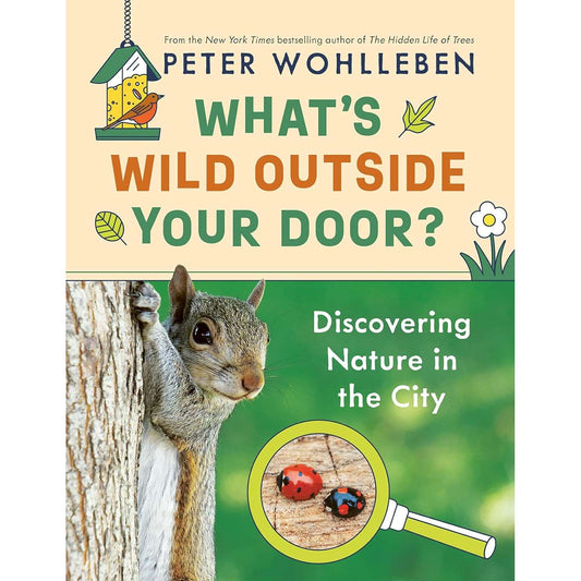 Paradise Clay IPS296 What'sWild Outside Your Door?: Discovering Nature In The City - Book