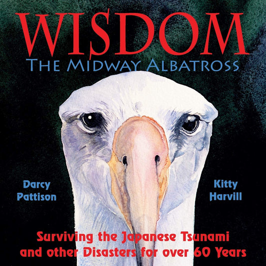 Paradise Clay IPS283 Wisdom, The Midway Albatross: Surviving The Japanese Tsunami And Other Disasters For Over 60 Years - Book