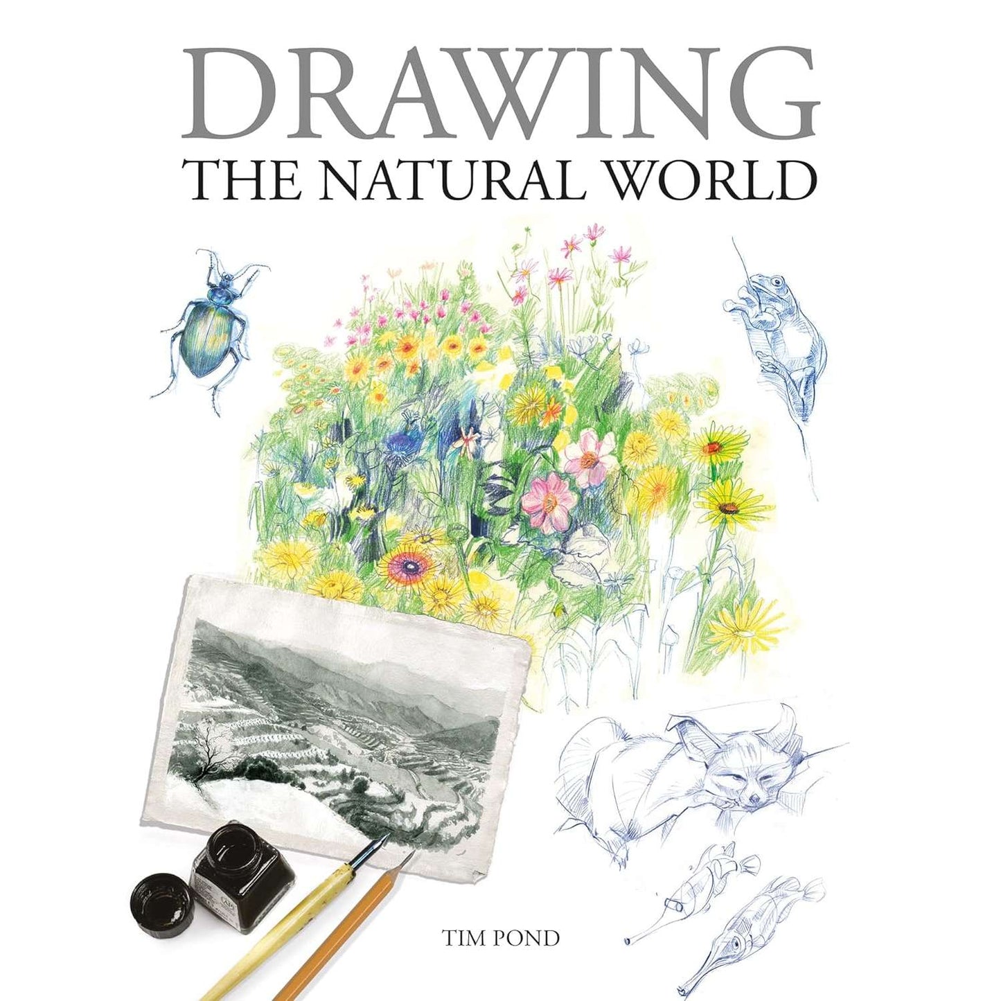 Paradise Clay IPS292 Drawing The Natural World - Book