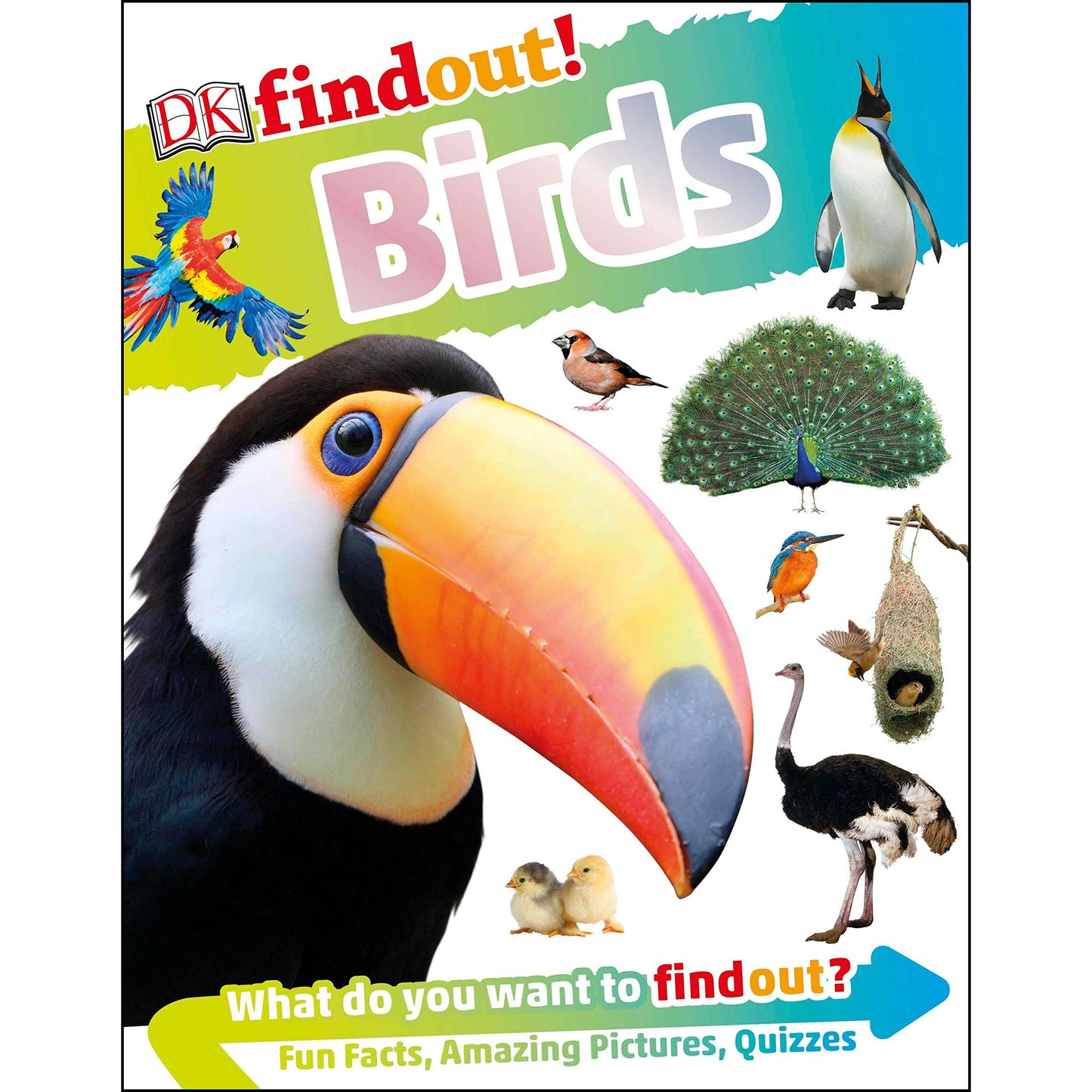 Paradise Clay RAN588 DKfindout! Birds - Book