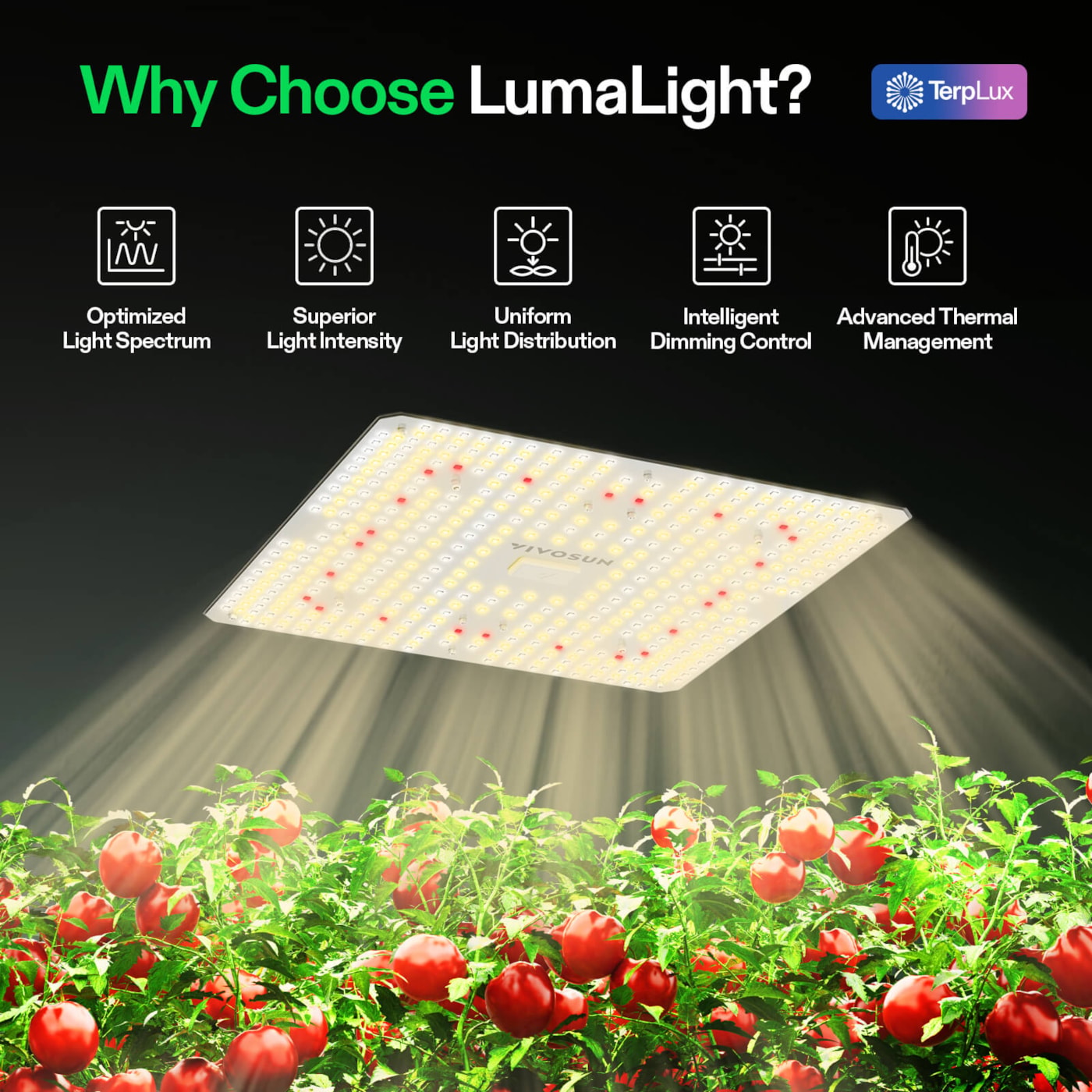 Vivosun LumaLight LED Grow Light, Full Spectrum Plant Light, 150W Smart Dimmable & High PPFD for Indoor Plants Seedling Vegetables Bloom