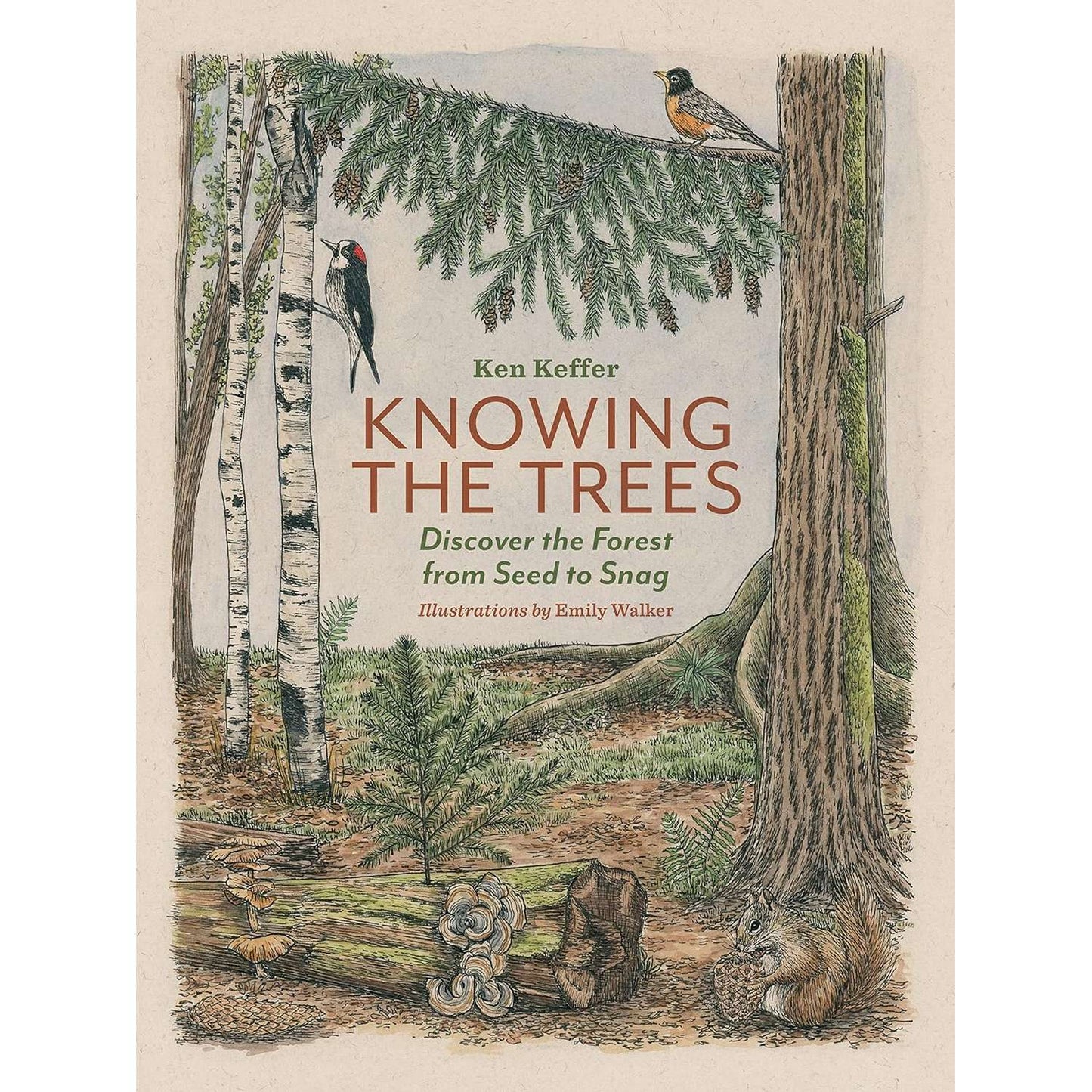 Paradise Clay MOU142 Knowing The Trees: Discover The Forest From Seed To Snag - Book