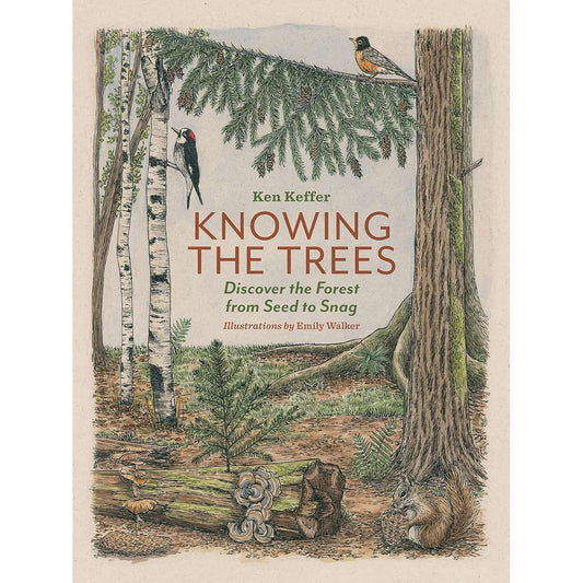 Paradise Clay MOU142 Knowing The Trees: Discover The Forest From Seed To Snag - Book