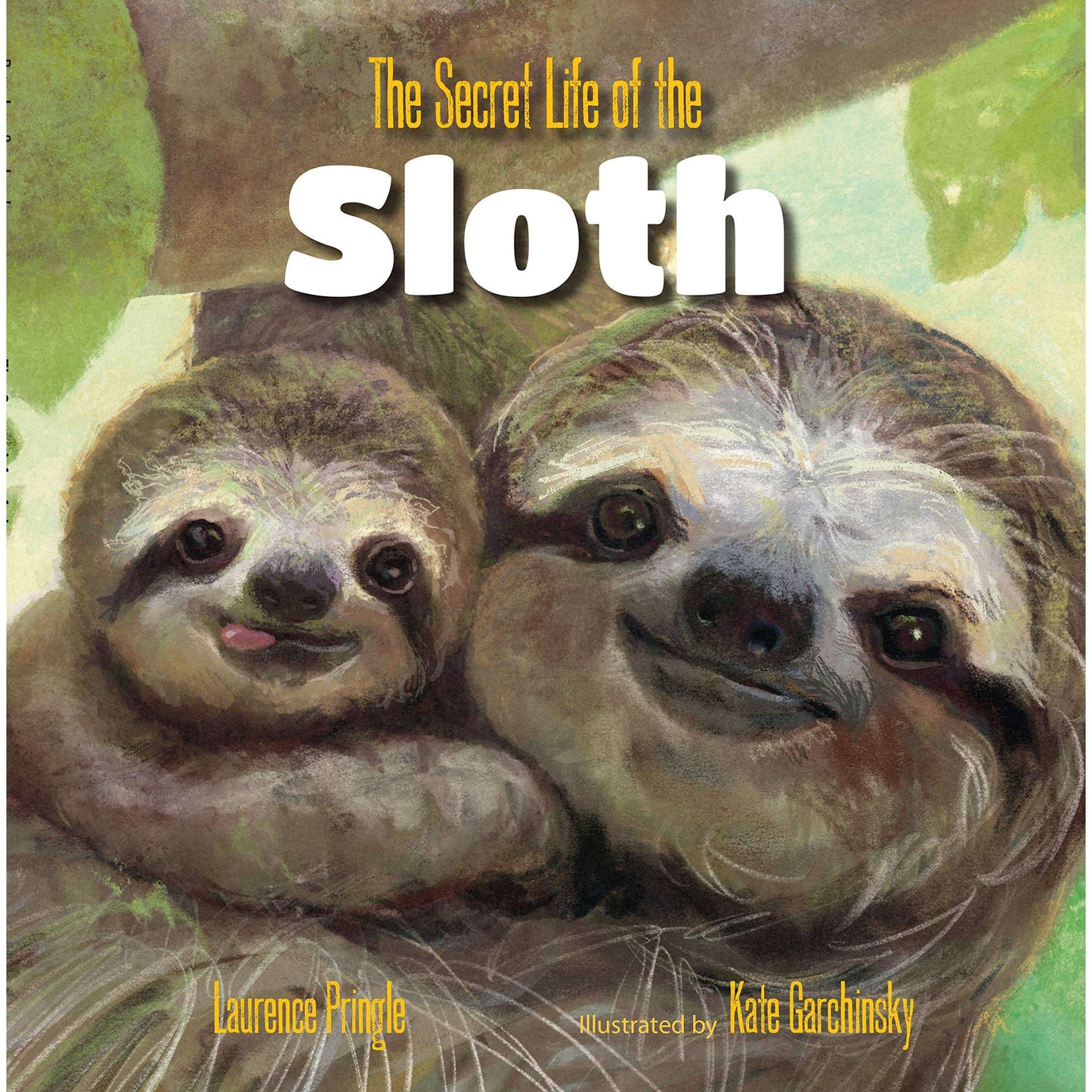 Paradise Clay RAN633 The Secret Life of the Sloth - Book
