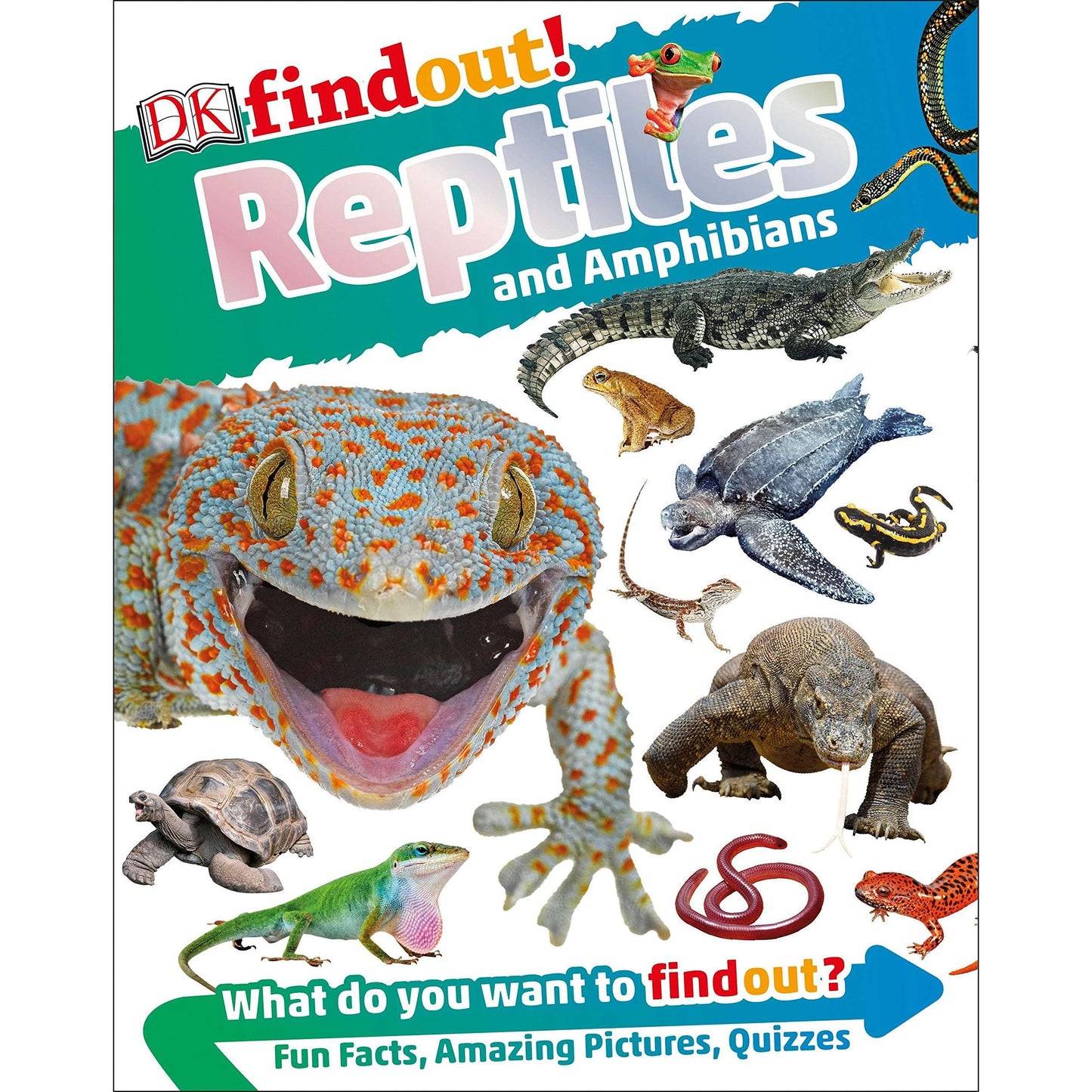 Paradise Clay RAN622 DKfindout! Reptiles and Amphibians - Book