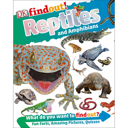 Paradise Clay RAN622 DKfindout! Reptiles and Amphibians - Book
