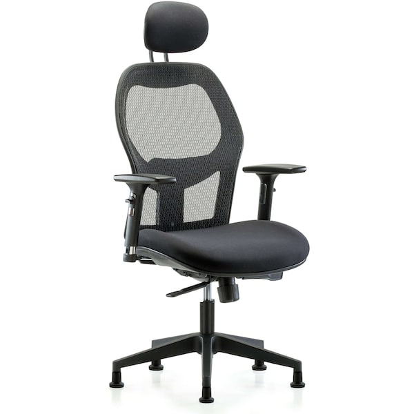 Blue Ridge Ergonomics EXE-MDHCH-RG-H1-A2-RG Executive Windrowe Mesh Back Chair with Head Rest, 3D Adjustable Arms, & Stationary Glides