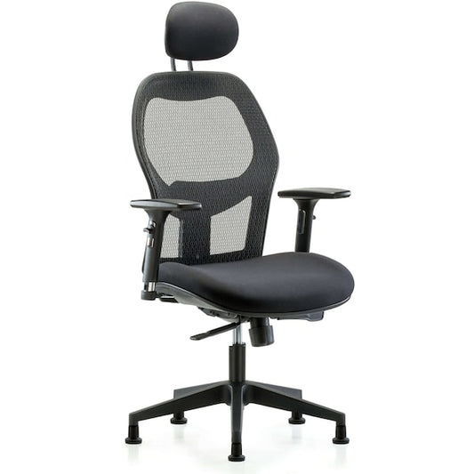 Blue Ridge Ergonomics EXE-MDHCH-RG-H1-A2-RG Executive Windrowe Mesh Back Chair with Head Rest, 3D Adjustable Arms, & Stationary Glides