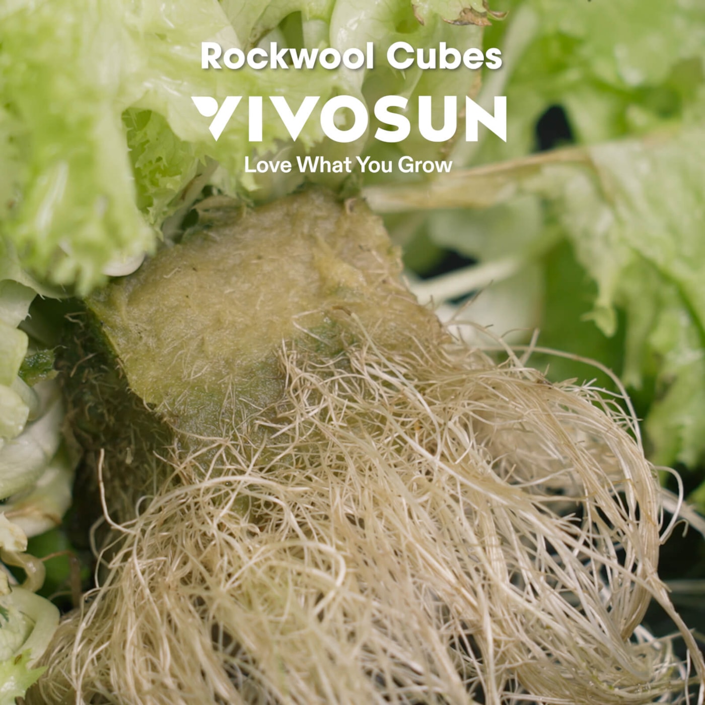 Vivosun 1.6" Rockwool Grow Cubes, 4 Sheets of 112 Plugs