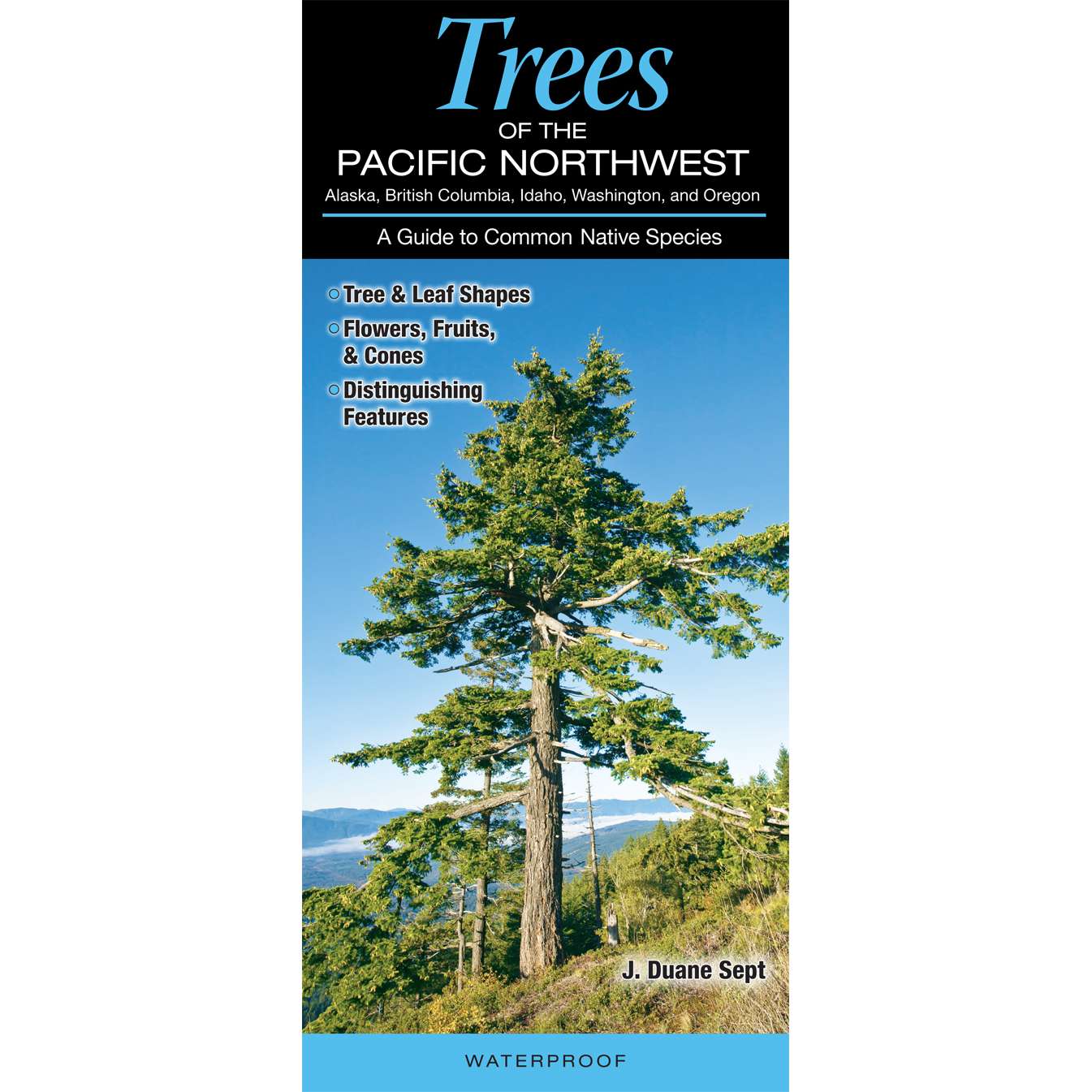 Paradise Clay QRP028 Trees of the Pacific Northwest - Folding Pocket Guide