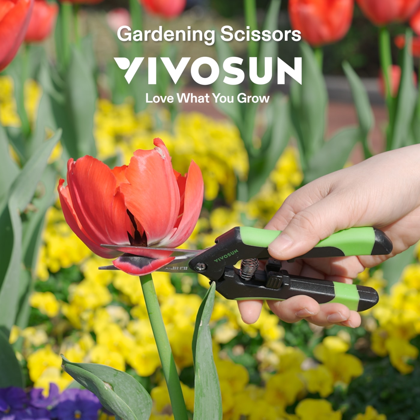 Vivosun Gardening Hand Pruner Pruning Shear with Straight Stainless Steel Blades, Black-and-Green
