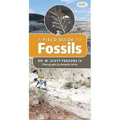 Paradise Clay HPC176 A Field Guide to Fossils - Pocket Guide