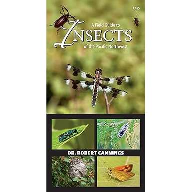 Paradise Clay HPC177 A Field Guide to Insects of the Pacific Northwest - Pocket Guide