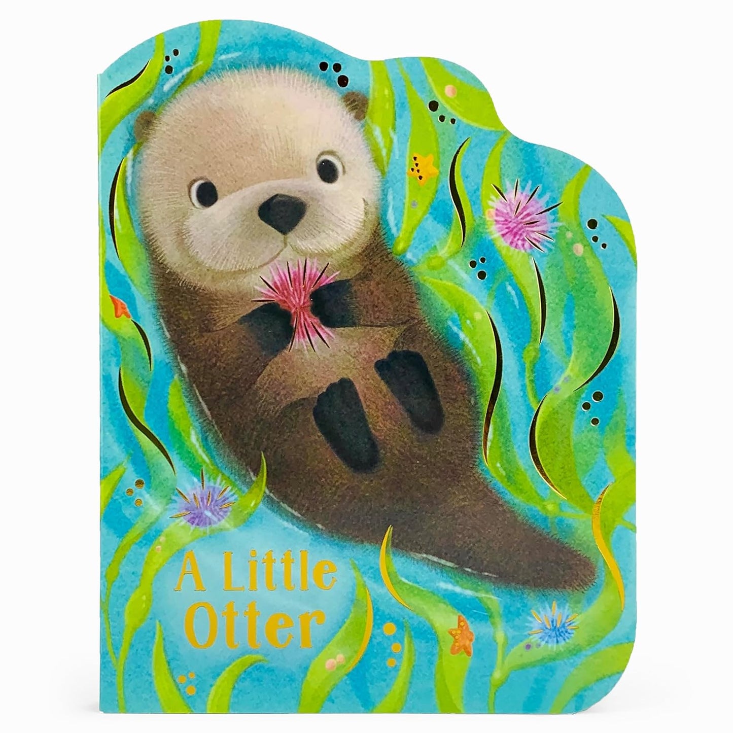 Paradise Clay CDP003 A Little Otter - Board Book