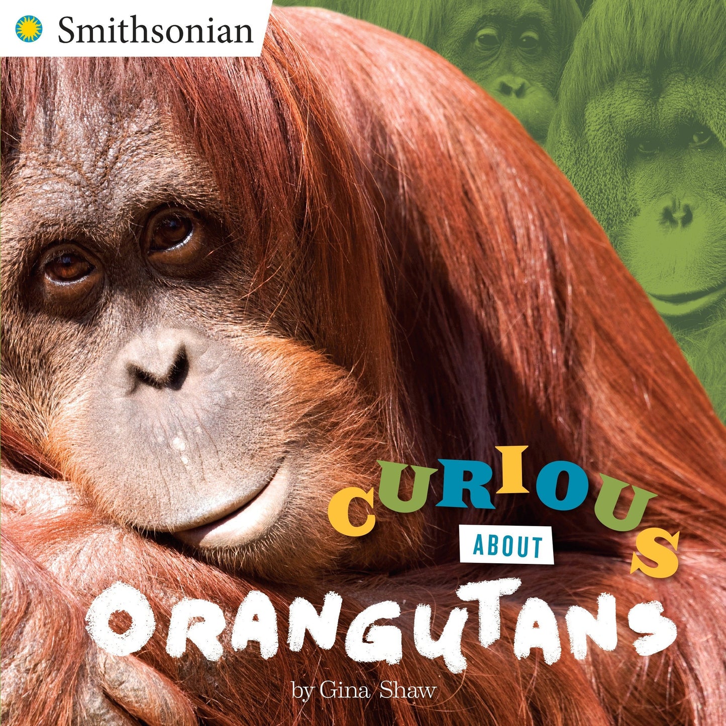 Paradise Clay RAN592 Curious About Orangutans - Book