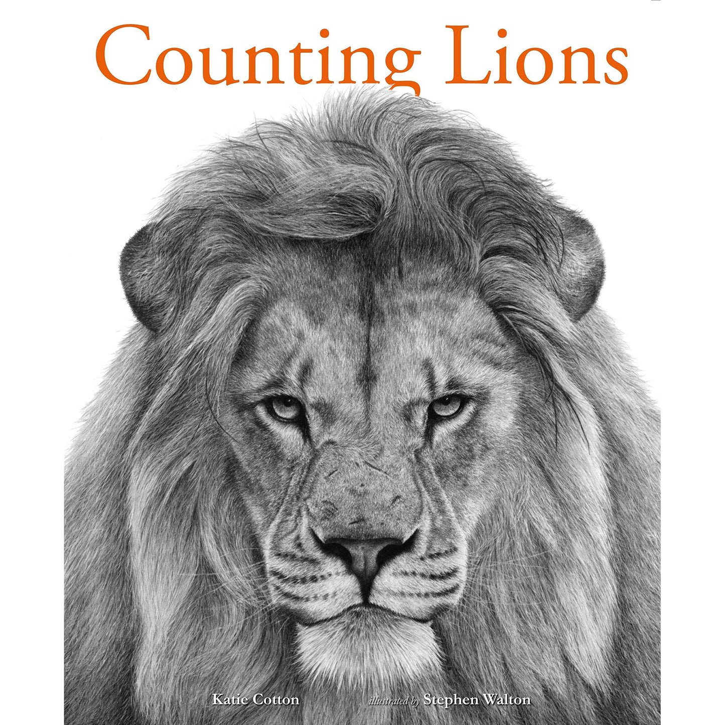 Paradise Clay RAN627 Counting Lions: Portraits from the Wild - Book