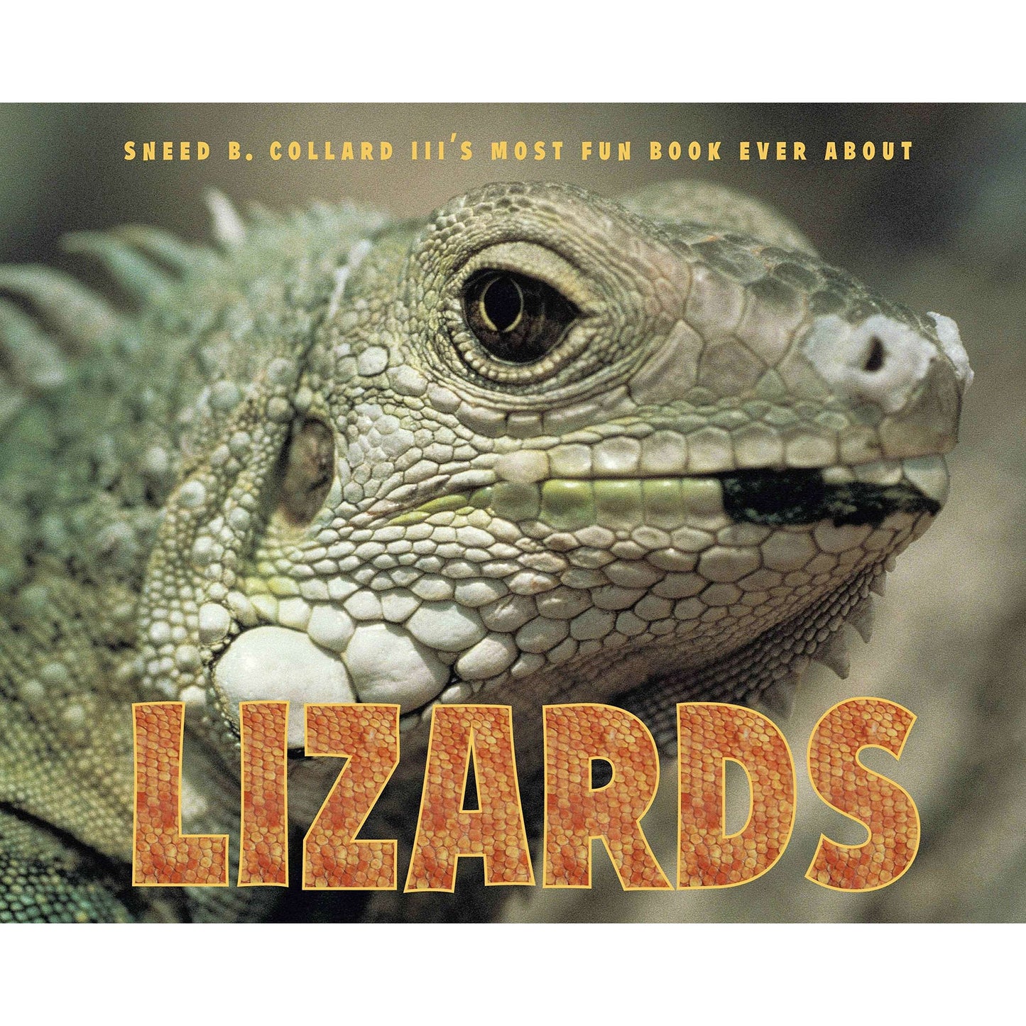 Paradise Clay RAN601 Sneed B. Collard III's Most Fun Book Ever About Lizards - Book