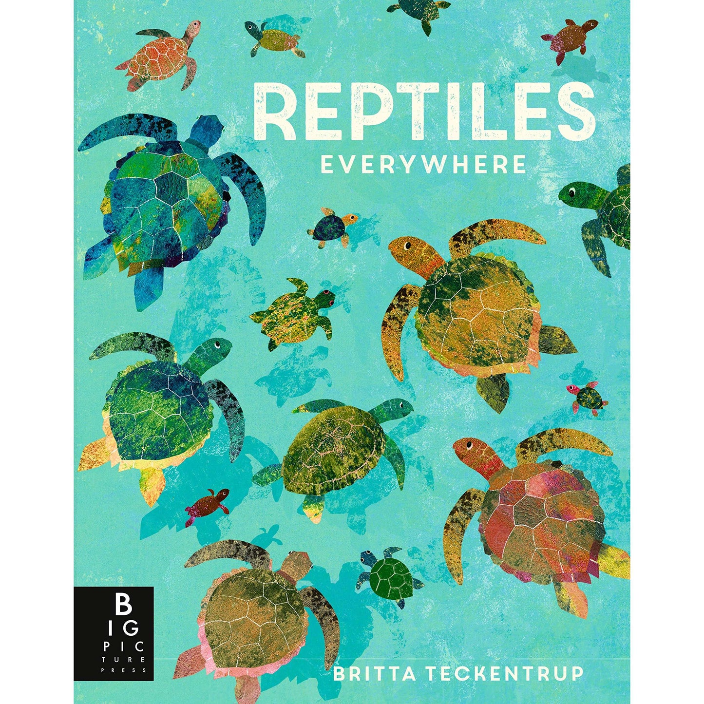 Paradise Clay RAN576 Reptiles Everywhere - Book