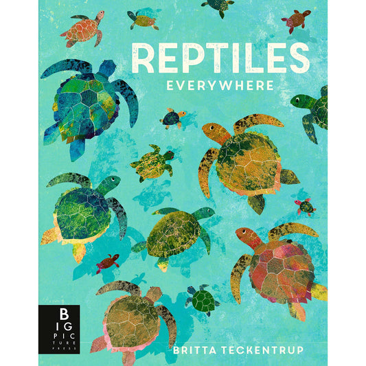Paradise Clay RAN576 Reptiles Everywhere - Book