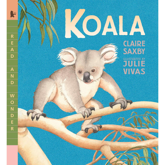 Paradise Clay RAN587 Koala - Book