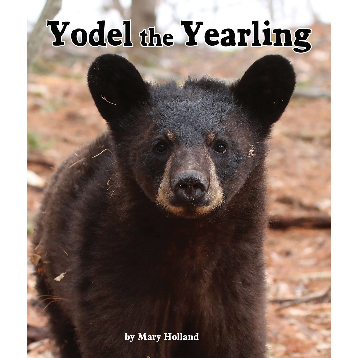 Paradise Clay ARB004 Yodel the Yearling - Book