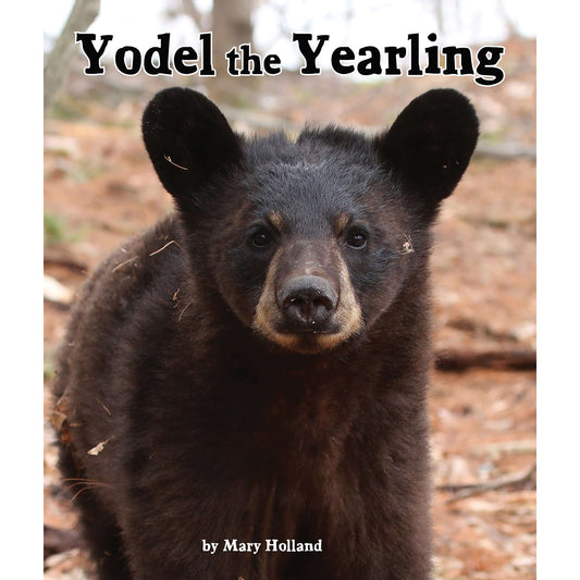 Paradise Clay ARB004 Yodel the Yearling - Book