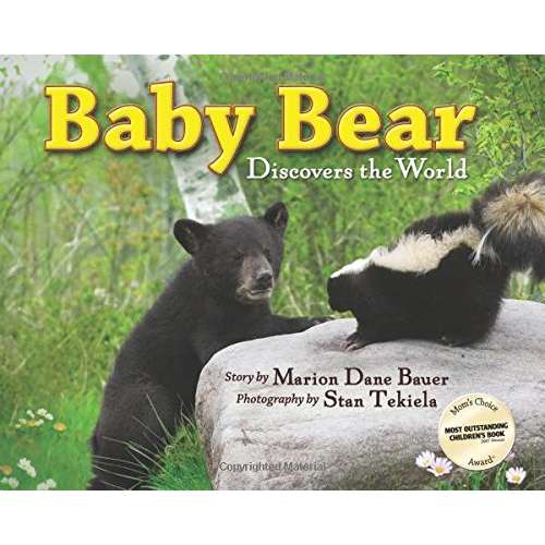 Paradise Clay AVK022 Baby Bear Discovers the World - Book