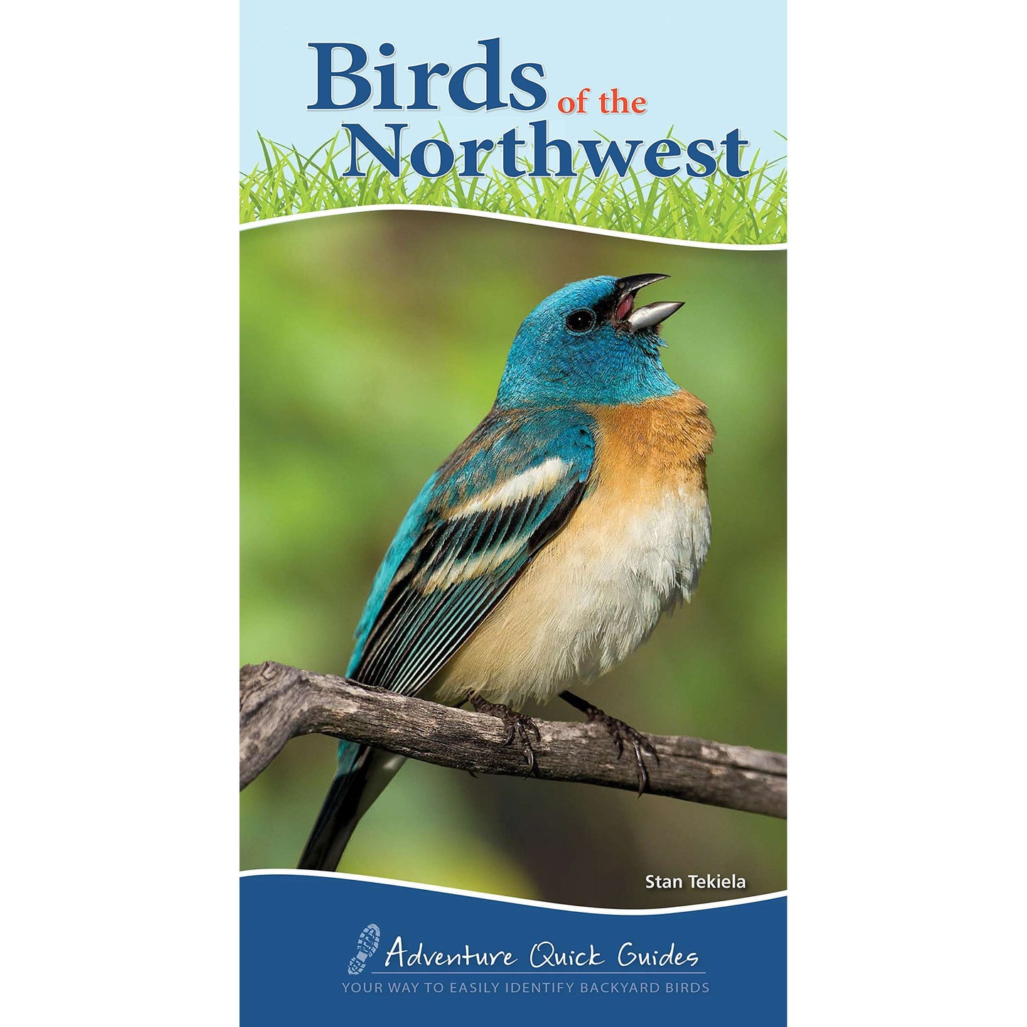 Paradise Clay AVK033 Birds of the Northwest - Book