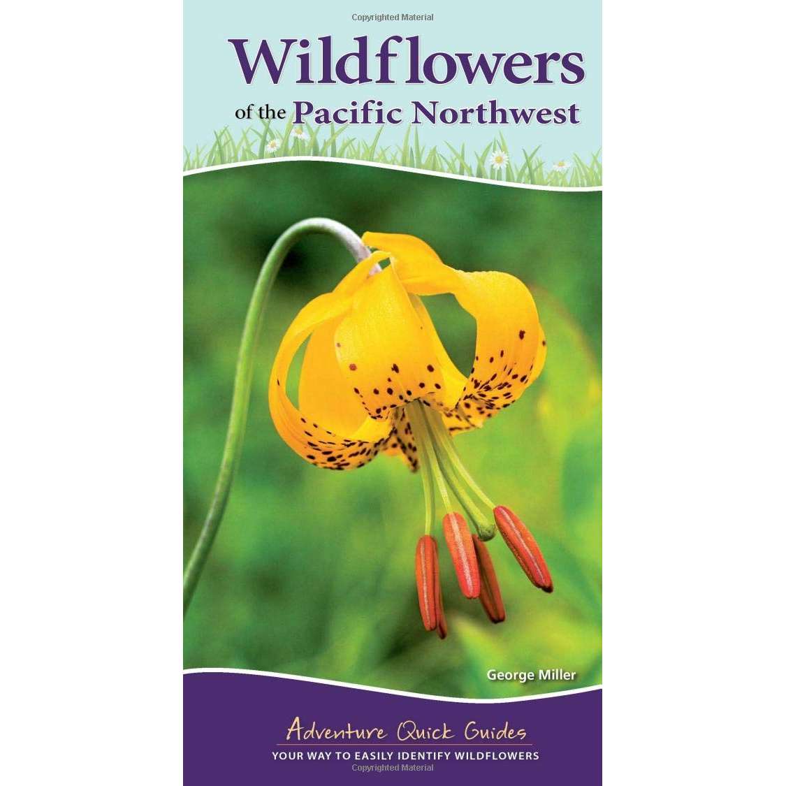 Paradise Clay AVK051 Wildflowers of the Pacific Northwest - Book