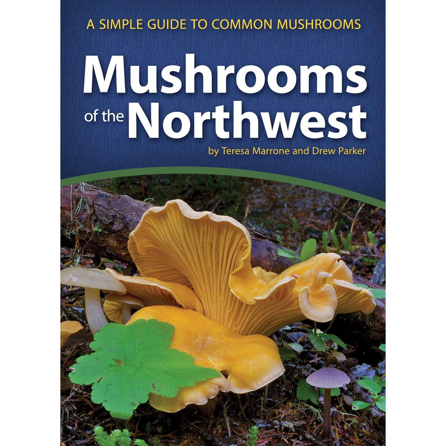 Paradise Clay AVK052 Mushrooms of the Northwest: A Simple Guide to Common Mushrooms - Book
