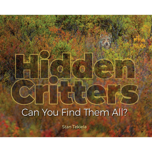 Paradise Clay AVK053 Hidden Critters: Can You Find Them All? - Book