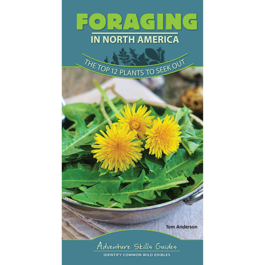Paradise Clay AVK059 Adventure Skills Guides: Foraging in North America: The Top 12 Plants to Seek Out - Book
