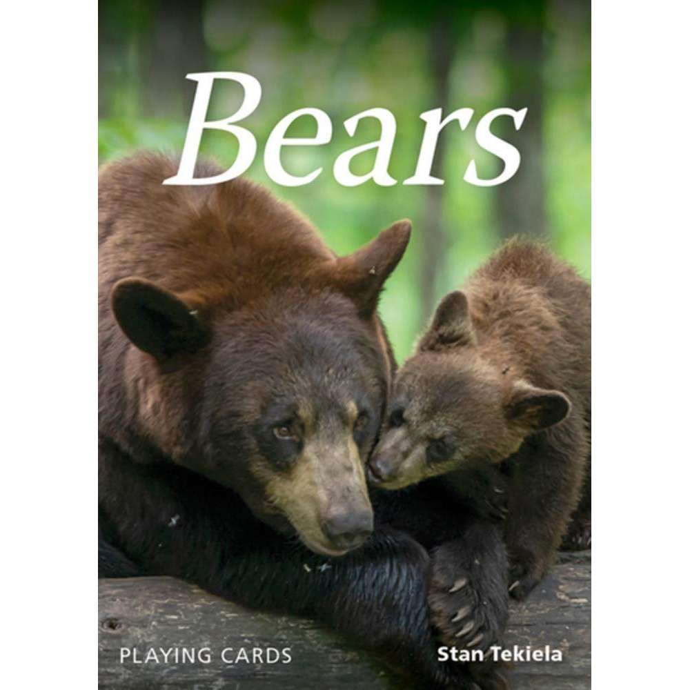 Paradise Clay AVK083 Bears Playing Cards