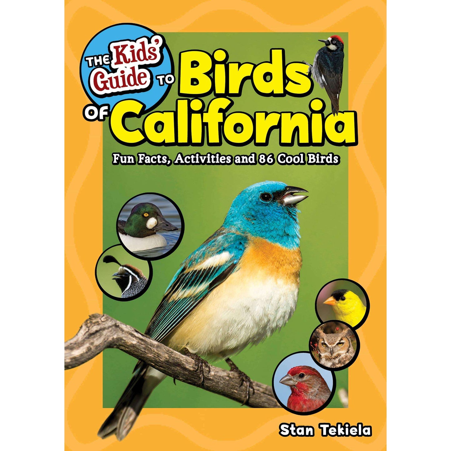 Paradise Clay AVK113 The Kids' Guide to Birds of California: Fun Facts, Activities and 86 Cool Birds - Book